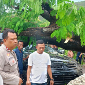 Kapolsek Manggelewa Pimpin Evakuasi Mobil Pajero yang Tertimpa Pohon Tumbang di Tengah Hujan Deras