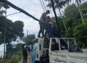 Pohon tumbang timpa kabel listrik, sejumlah tiang listrik tumbang tak kuasa menahan beban