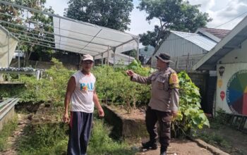 Ketahanan Pangan Desa Warga Batulayar Manfaatkan Ekobrik