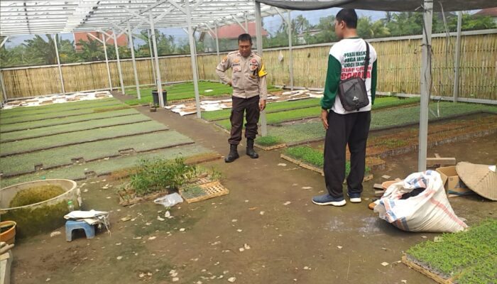 Bhabinkamtibmas Lombok Barat Ajak Warga Manfaatkan Lahan Pekarangan untuk Ketahanan Pangan