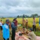 Polsek Tanjung berkolaborasi Dengan Dinas Pertanian UPTD Tanjung Ambil Sample Ubinan Padi