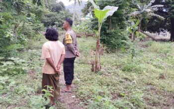 Dukung Ketahanan Pangan, Bhabinkamtibmas Motivasi Warga Bertani di Senggigi