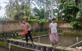 Ketahanan Pangan Kuripan: Bukti Nyata Bakti Bhabinkamtibmas