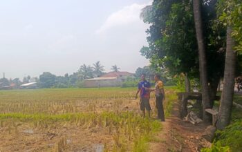 Polsek Kuripan Lombok Barat Edukasi Petani Soal Swasembada Pangan, Apa Hasilnya