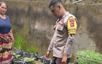 Bhabinkamtibmas Menginspirasi: Warga Lombok Barat Bangkit dengan Pertanian Mandiri