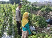 Sinergi Polri dan Petani: Wujudkan Ketahanan Pangan di Labuapi