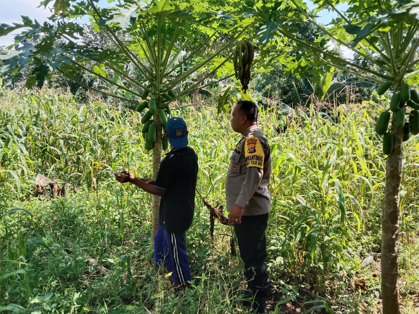 Polisi dan Petani Bersinergi, Ketahanan Pangan Jadi Prioritas!