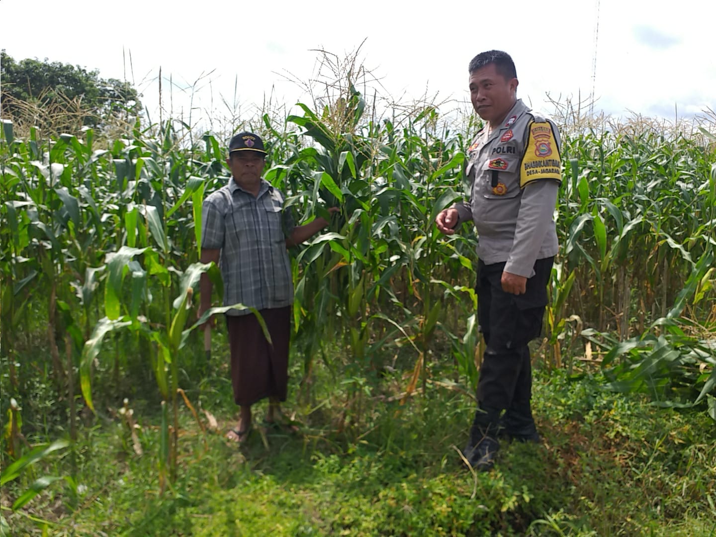 Bhabinkamtibmas Turun ke Desa, Warga Siap Tanam Jagung