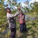 Bhabinkamtibmas Gapuk Dukung Petani Jambu Kristal di Gerung