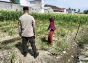 Bhabinkamtibmas Labuapi Dorong Pemanfaatan Lahan Demi Ketahanan Pangan