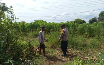 Bhabinkamtibmas Sekotong Barat Dukung Ketahanan Pangan Warga