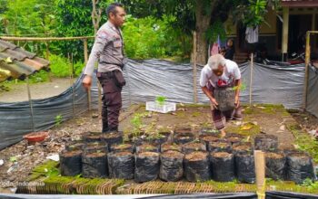 Bhabinkamtibmas Kuripan Utara Dorong Ketahanan Pangan Rumah Tangga