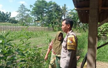 Gerakan Pekarangan Bergizi Mulai Diterapkan di Dasan Geres