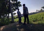 Ketahanan Pangan Desa Kuripan Sinergi Polri dan Warga