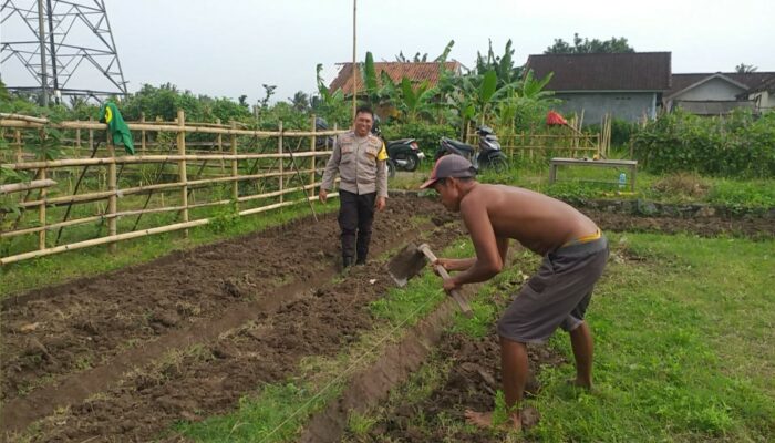Polisi Kuripan Dorong Ketahanan Pangan dari Pekarangan Warga