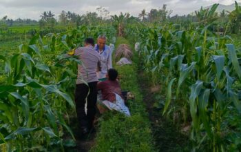 Motivasi Petani Kuripan, Polri Dorong Ketahanan Pangan dari Tingkat Desa
