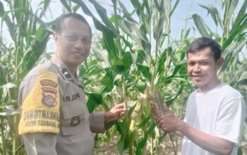 Pendampingan Petani oleh Bhabinkamtibmas di Desa Jagaraga Indah