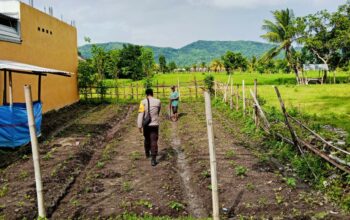 Polri Aktif di Ladang Petani Kediri, Dorong Kesejahteraan dan Ketahanan Pangan