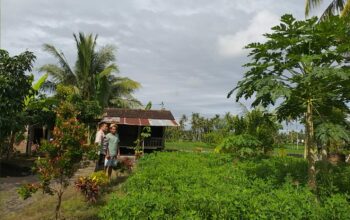 Polri Dukung Ketahanan Pangan di Dusun Tambang Eleh, Lombok Barat