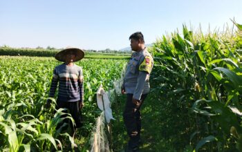 Polri dan Petani Bersinergi Wujudkan Ketahanan Pangan di Lembar, Lombok Barat