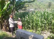 Polsek Lembar Dukung Ketahanan Pangan di Dusun Jelateng