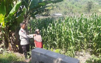Polsek Lembar Dukung Ketahanan Pangan di Dusun Jelateng