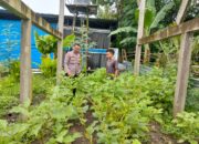 Polres Loteng Tinjau Pekarangan Lahan Bergizi Milik Warga di Desa Labulia.