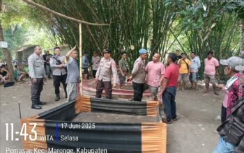Polsek Plampang Bubarkan Kembali Kegiatan Sabung Ayam di Desa Pemasar 