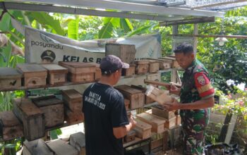 Babinsa Tamansari Dampingi Peternak Madu Trigona di Gunungsari