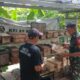Babinsa Tamansari Dampingi Peternak Madu Trigona di Gunungsari