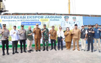 Sumbawa Resmi Ekspor Perdana 6.000 Ton Jagung ke Filipina, Perkuat Ketahanan Pangan Nasional