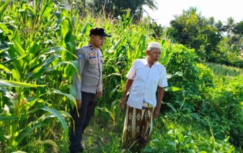 Langkah Strategis Polri Jaga Ketahanan Pangan di Desa Mareje Timur