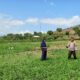 Mendukung Program Ketahanan Pangan Nasional, Bhabinkamtibmas Polsek Woha Pantau Lahan Sayur Milik Warga Binaan
