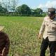 Bhabinkamtibmas Babussalam Dukung Petani Jagung di Lemukek Daya