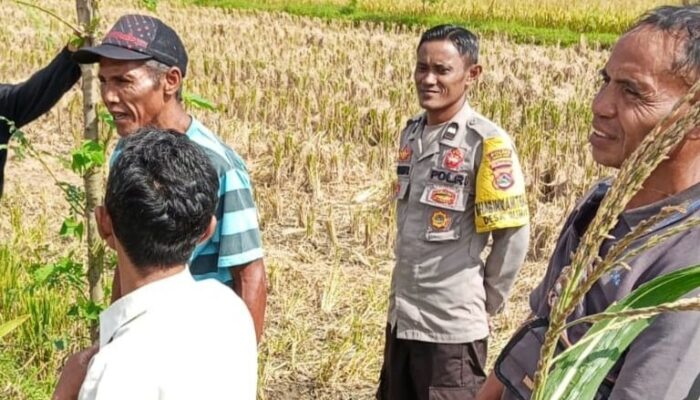 Bhabinkamtibmas Desa Rumak Dorong Warga Manfaatkan Pekarangan untuk Ketahanan Pangan