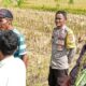 Bhabinkamtibmas Desa Rumak Dorong Warga Manfaatkan Pekarangan untuk Ketahanan Pangan