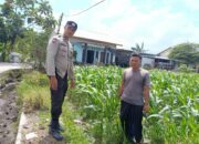 Bhabinkamtibmas Labuapi Dorong Pemanfaatan Lahan Kosong untuk Ketahanan Pangan