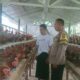 Bhabinkamtibmas Sekotong Dorong Ketahanan Pangan dari Pekarangan Warga