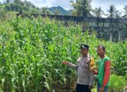 Bhabinkamtibmas Sekotong Dorong Pemanfaatan Pekarangan untuk Ketahanan Pangan