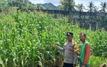 Bhabinkamtibmas Sekotong Dorong Pemanfaatan Pekarangan untuk Ketahanan Pangan