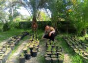 Bhabinkamtibmas Terong Tawah Dorong Ketahanan Pangan Lewat Pekarangan Produktif