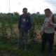 Ketahanan Pangan Dimulai dari Desa: Bhabinkamtibmas Sosialisasi Lahan Produktif di Jagaraga