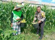Bhabinkamtibmas Desa Bagik Polak Barat Dorong Warga Tanam Pangan