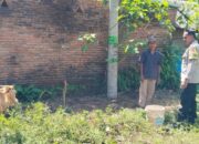 Bhabinkamtibmas Lembar Selatan Dorong Pemanfaatan Pekarangan untuk Ketahanan Pangan