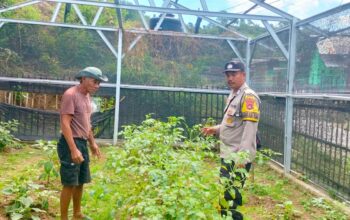Bhabinkamtibmas Desa Mantun Dampingi Pengelolaan Pekarangan Pangan Bergizi