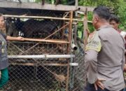 Bhabinkamtibmas Senggigi Dorong Warga Krandangan Manfaatkan Lahan Kosong untuk Ketahanan Pangan