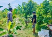 Polsek Labuapi Dorong Warga Desa Bajur Tanam Sayur di Pekarangan
