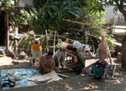 Semarak Persiapan Gawe Gubuk Sedesa Peteluan Indah Dimulai
