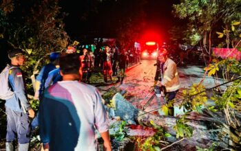 Evakuasi Pohon Tumbang di Karang Kates Berjalan Cepat