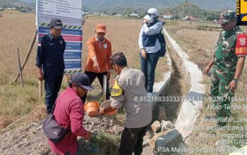 Bhabinkamtibmas Desa Beru Hadiri Peletakan Batu Pertama Pembangunan Irigasi Jalan Usaha Tani di Dusun Pisak